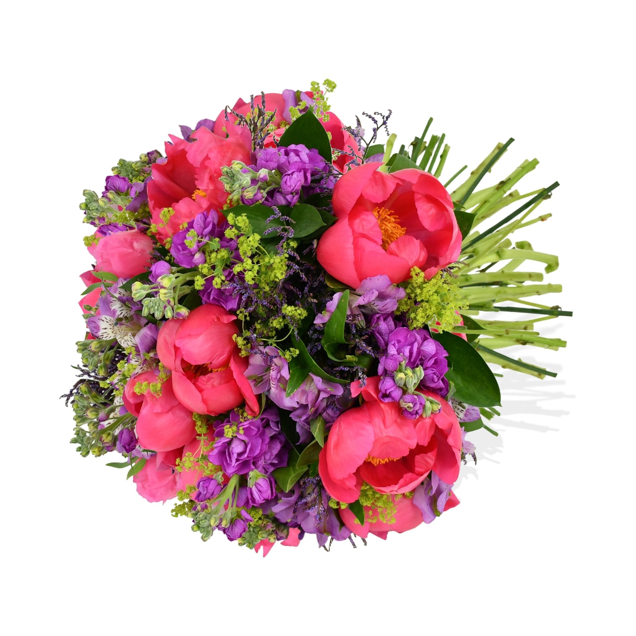 Stocks and Peonies - Flowers & Plants Co