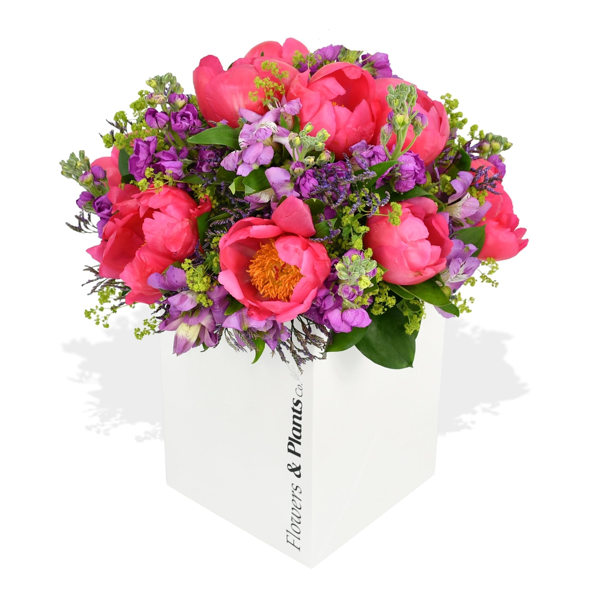Stocks and Peonies - Flowers & Plants Co
