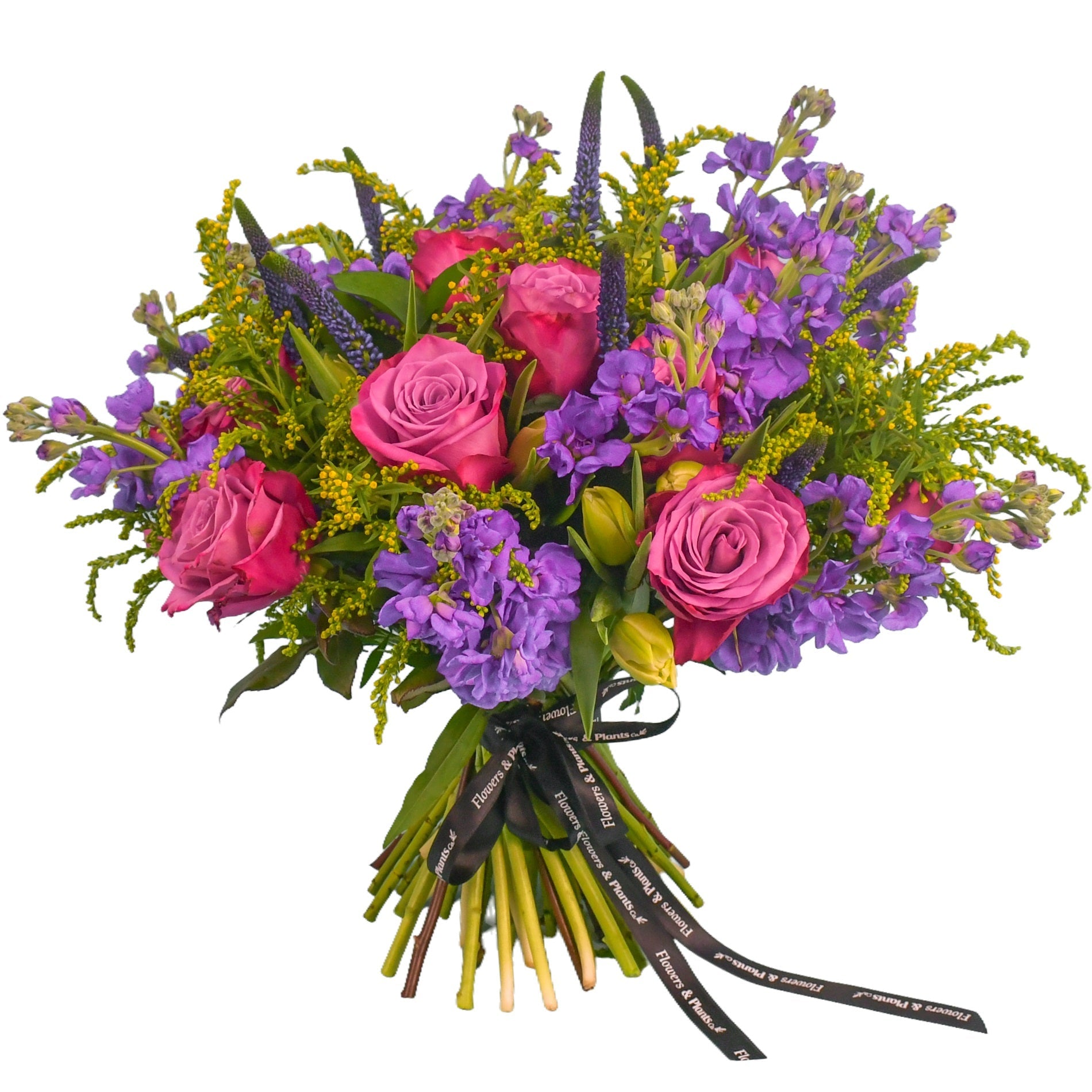 Stocks & Rose - Flowers & Plants Co