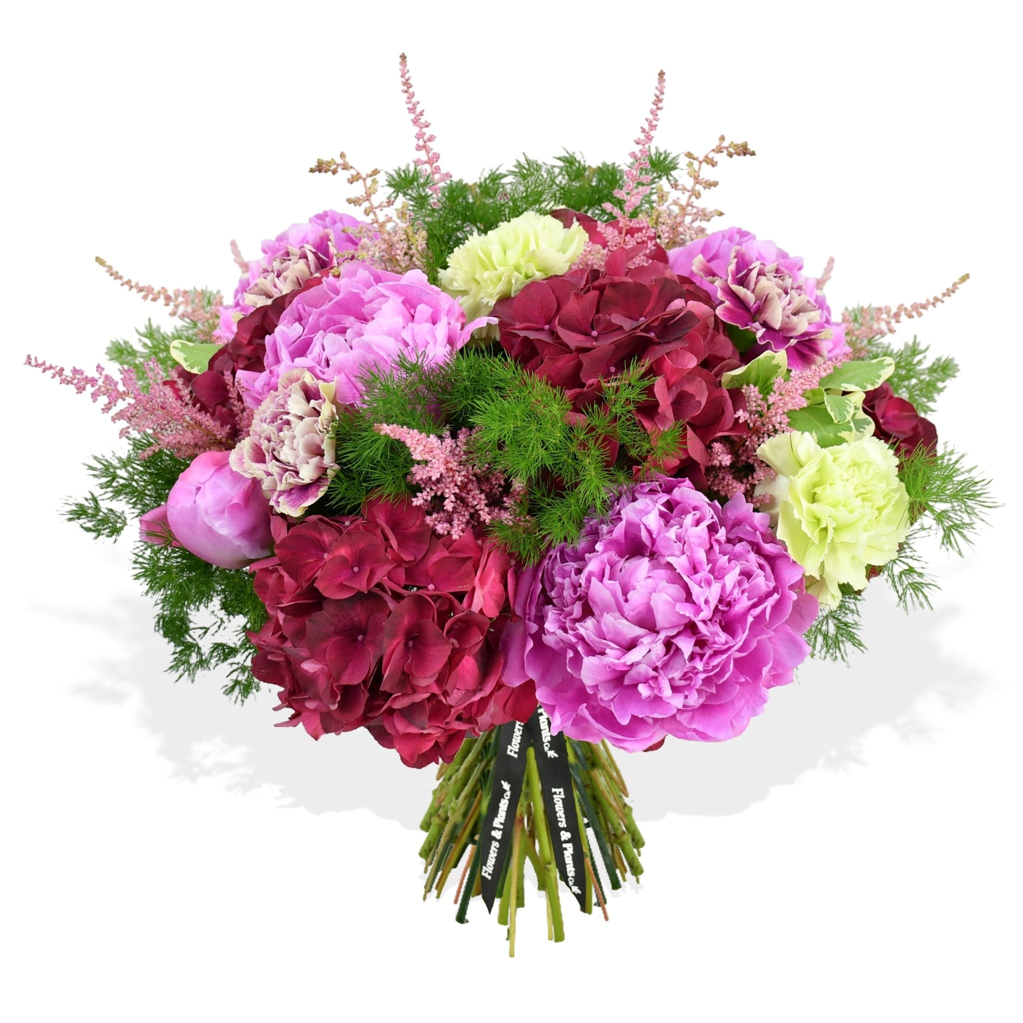 Sweet Raspberry - Flowers & Plants Co