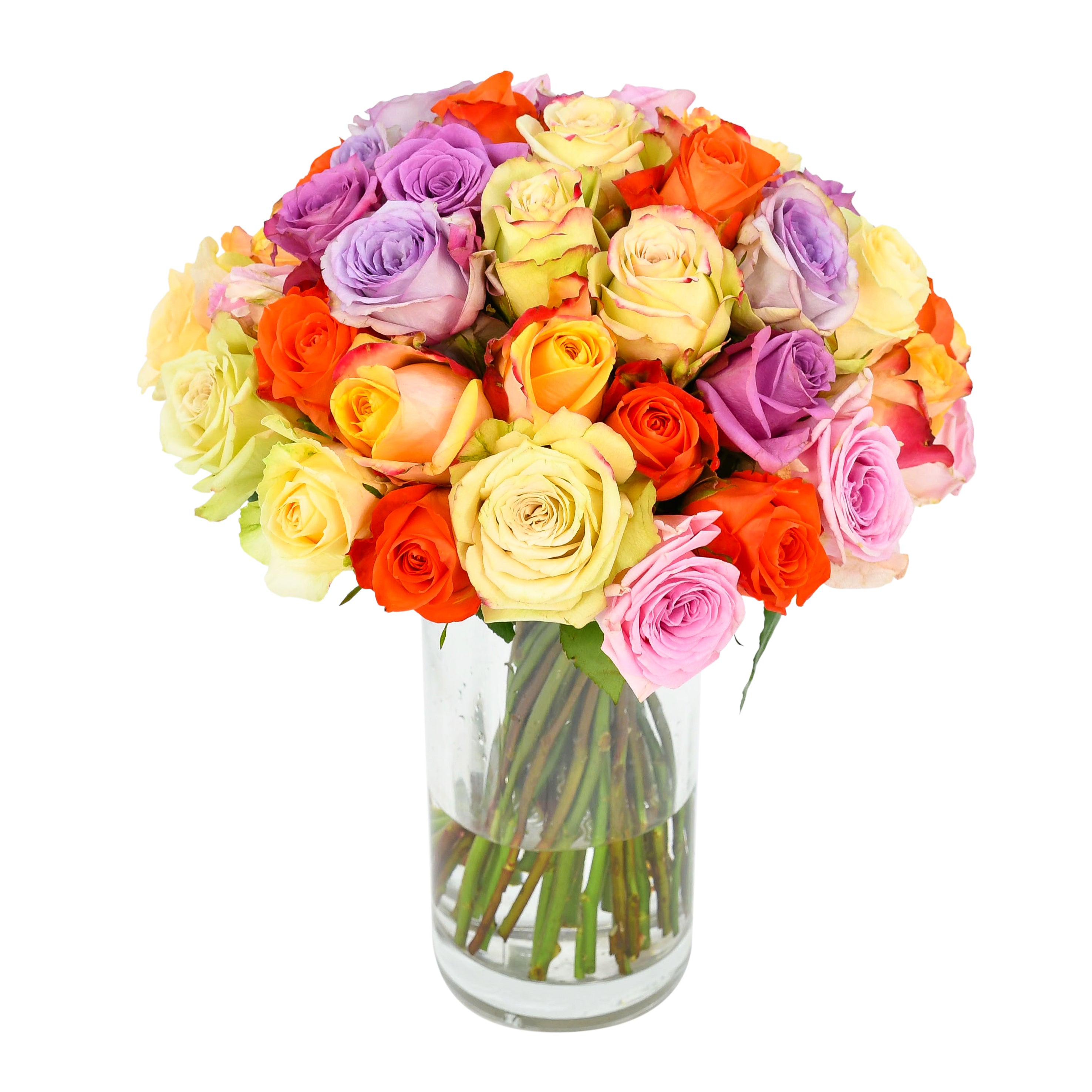 Mixed Roses Roses Flowers & Plants Co