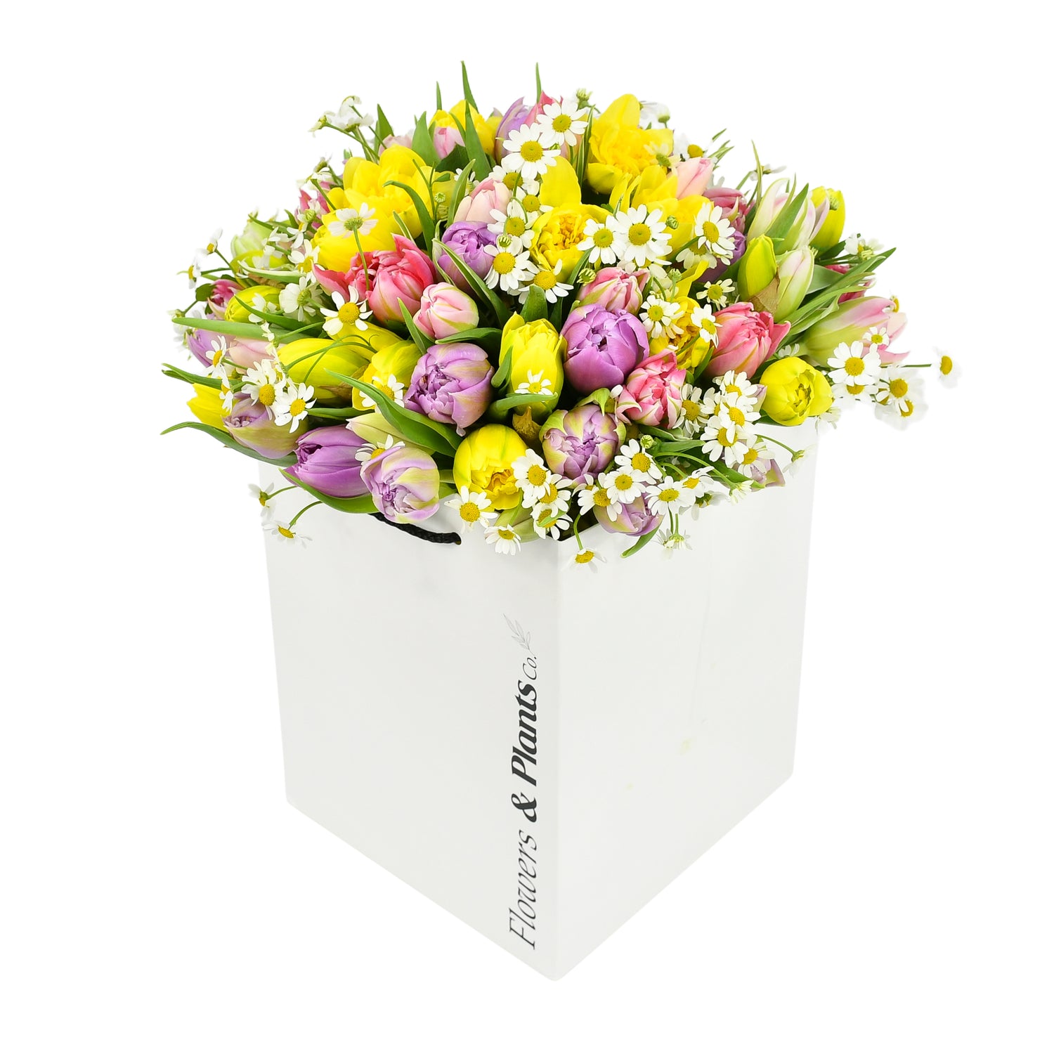 Sunny Spells Tulips Flowers &amp; Plants Co