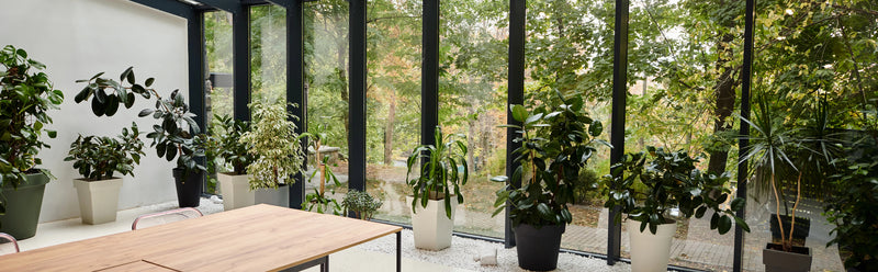 Planting & Maintenance