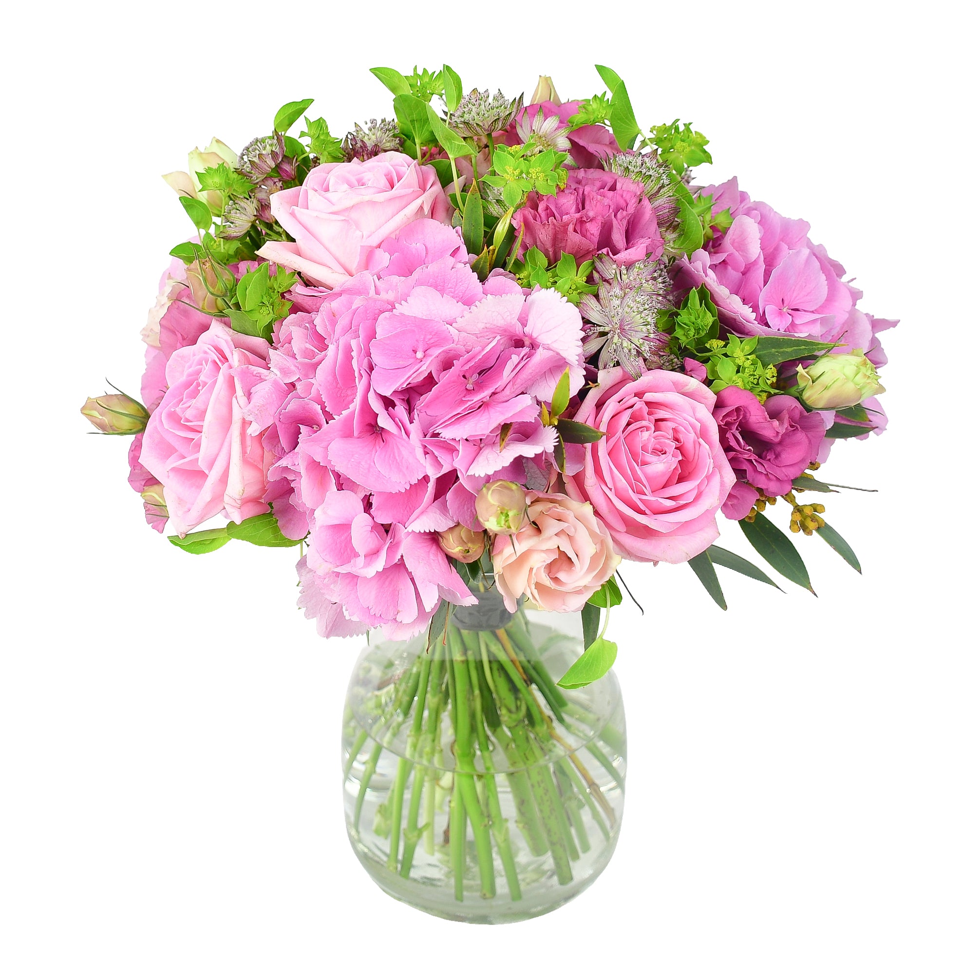 New Glow  Flowers & Plants Co.