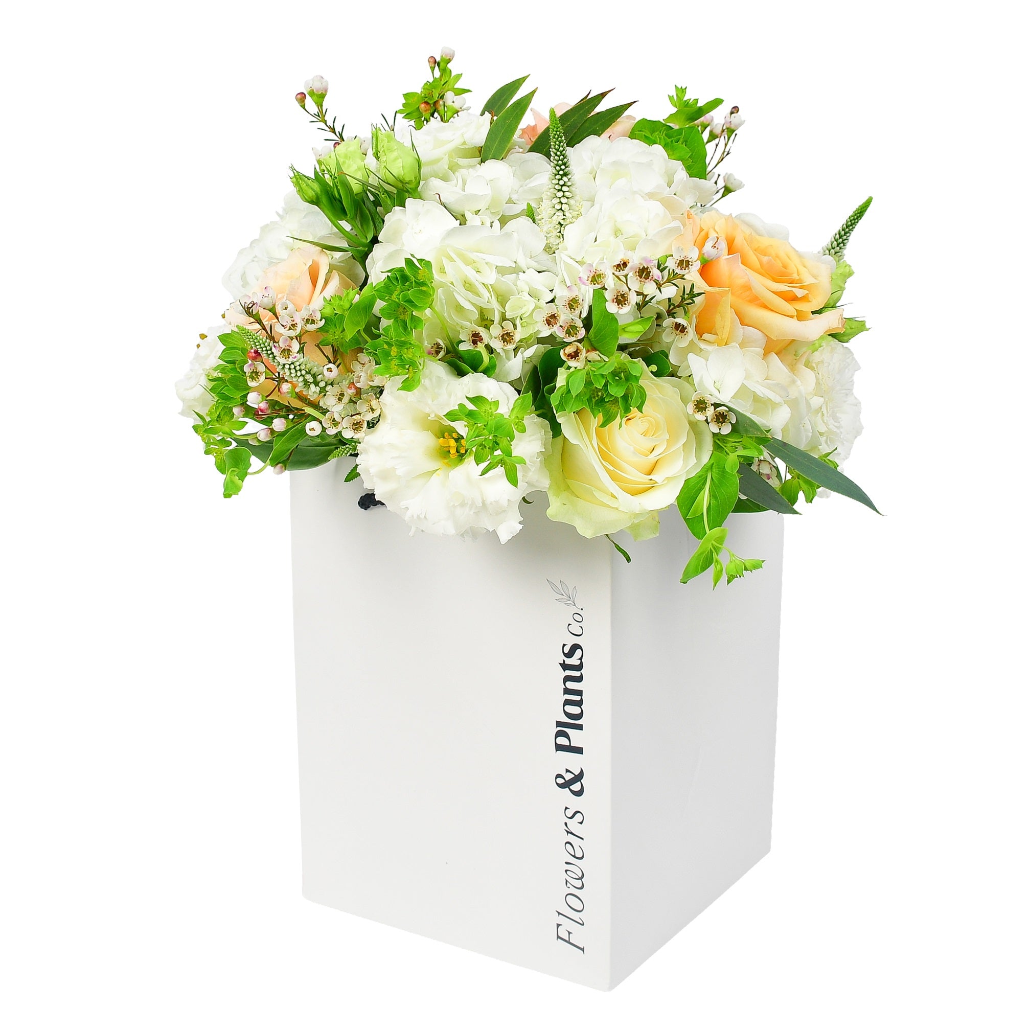 white roses and hydrangea in a bag