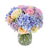 Parisian Blue Hydrangea Flowers & Plants Co