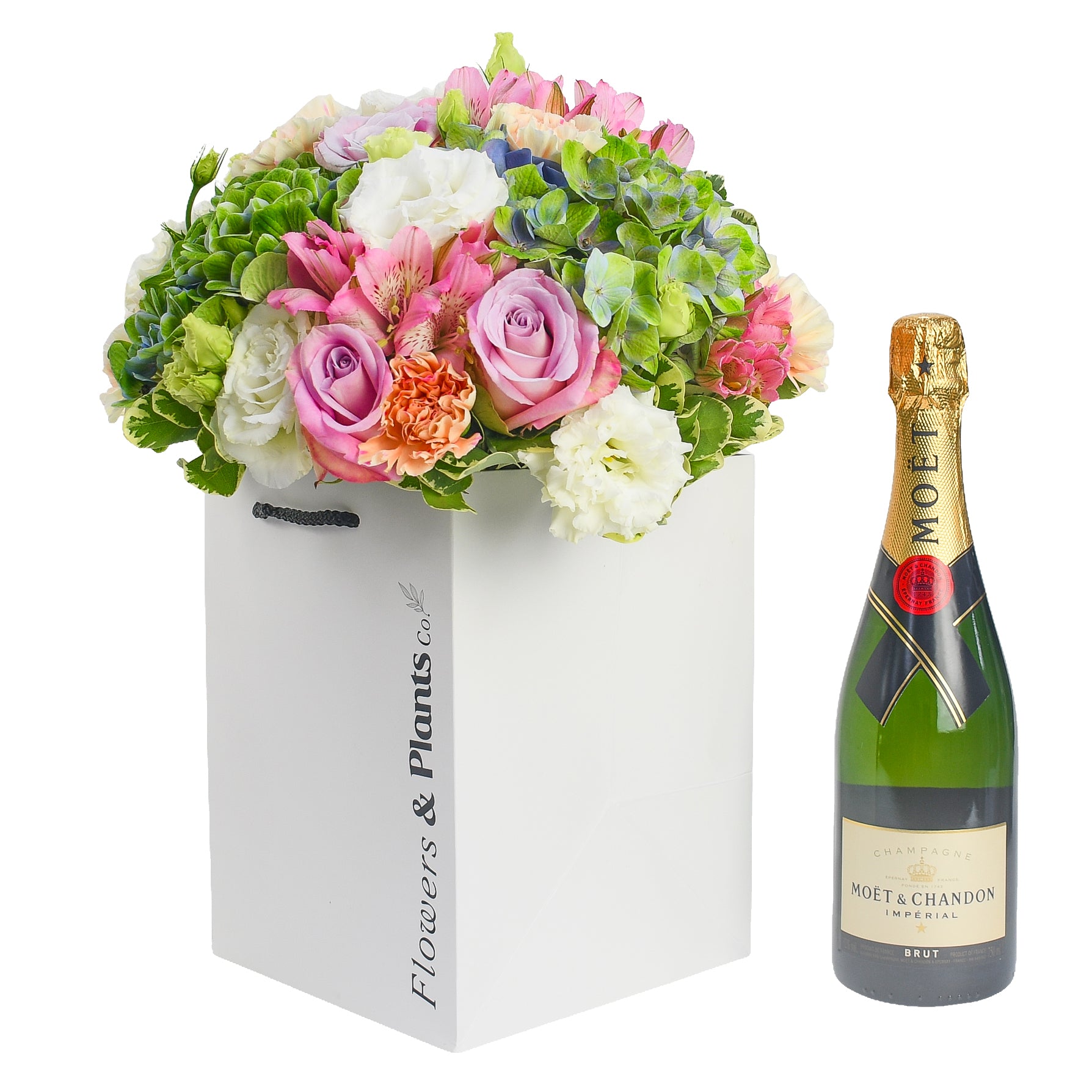 Into the Sun Flowers & Champagne Flowers & Plants Co