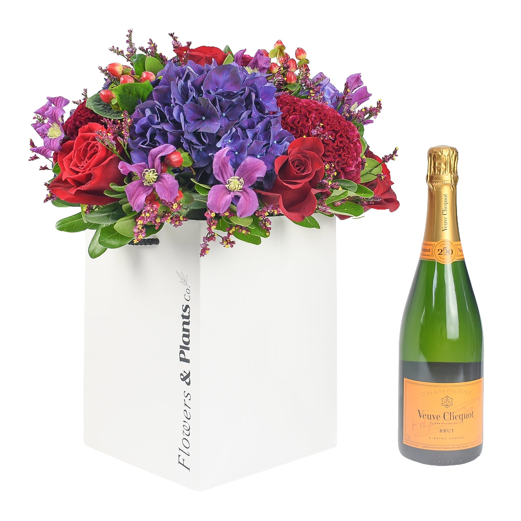 Hydrangeas &amp; Berries Flowers &amp; Champagne Flowers &amp; Plants Co