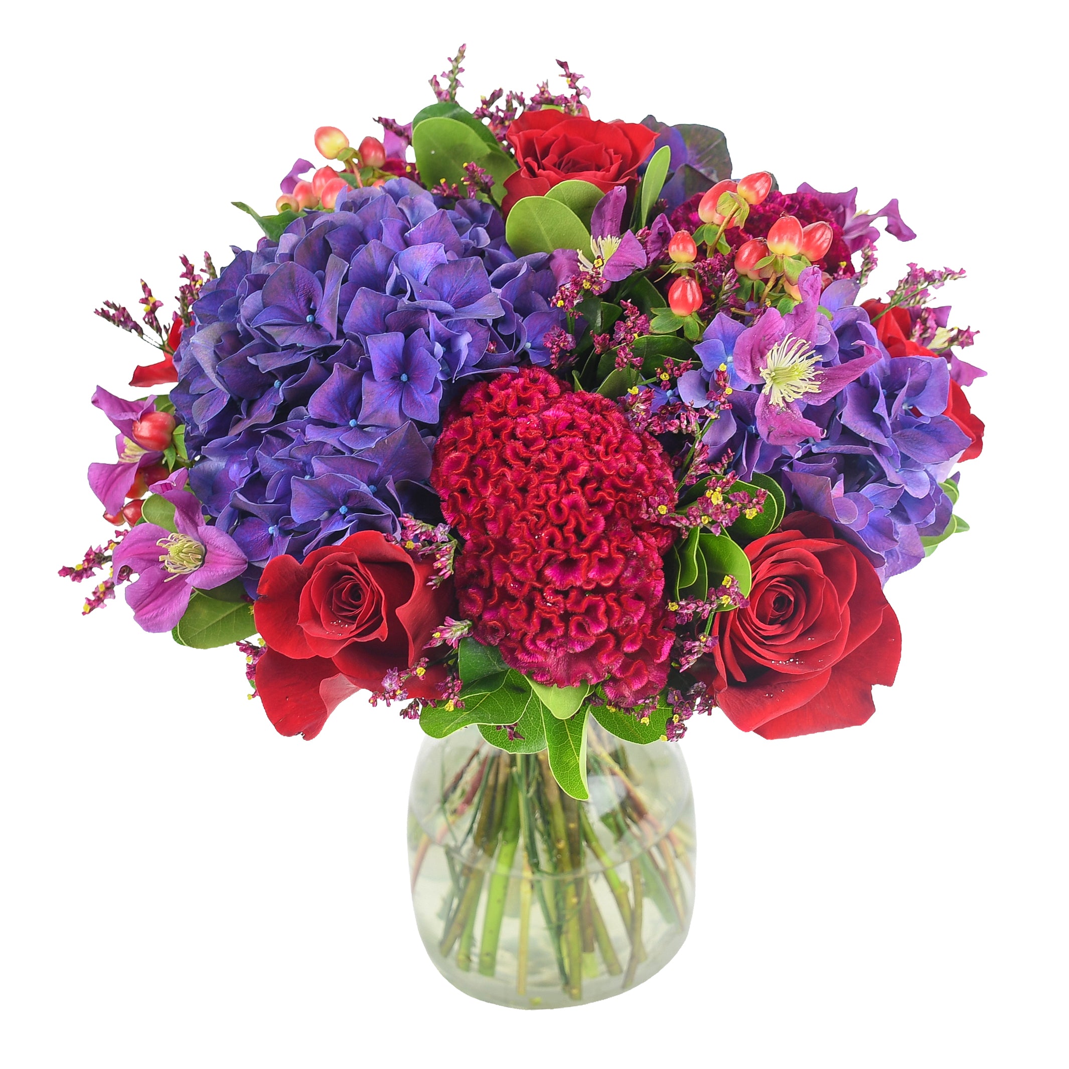 Hydrangeas &amp; Berries Flowers &amp; Champagne Flowers &amp; Plants Co