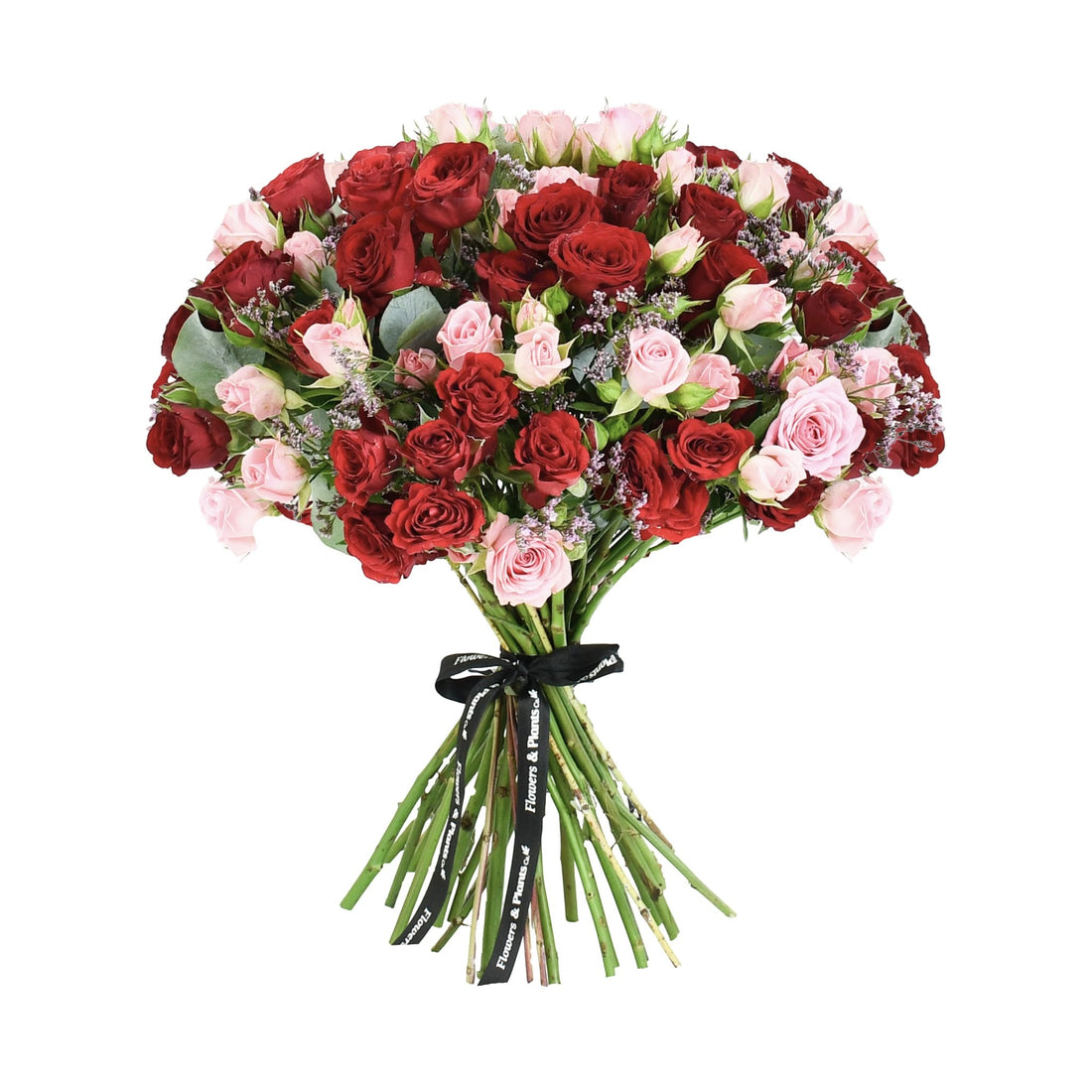 Baby Ruby - Flowers &amp; Plants Co