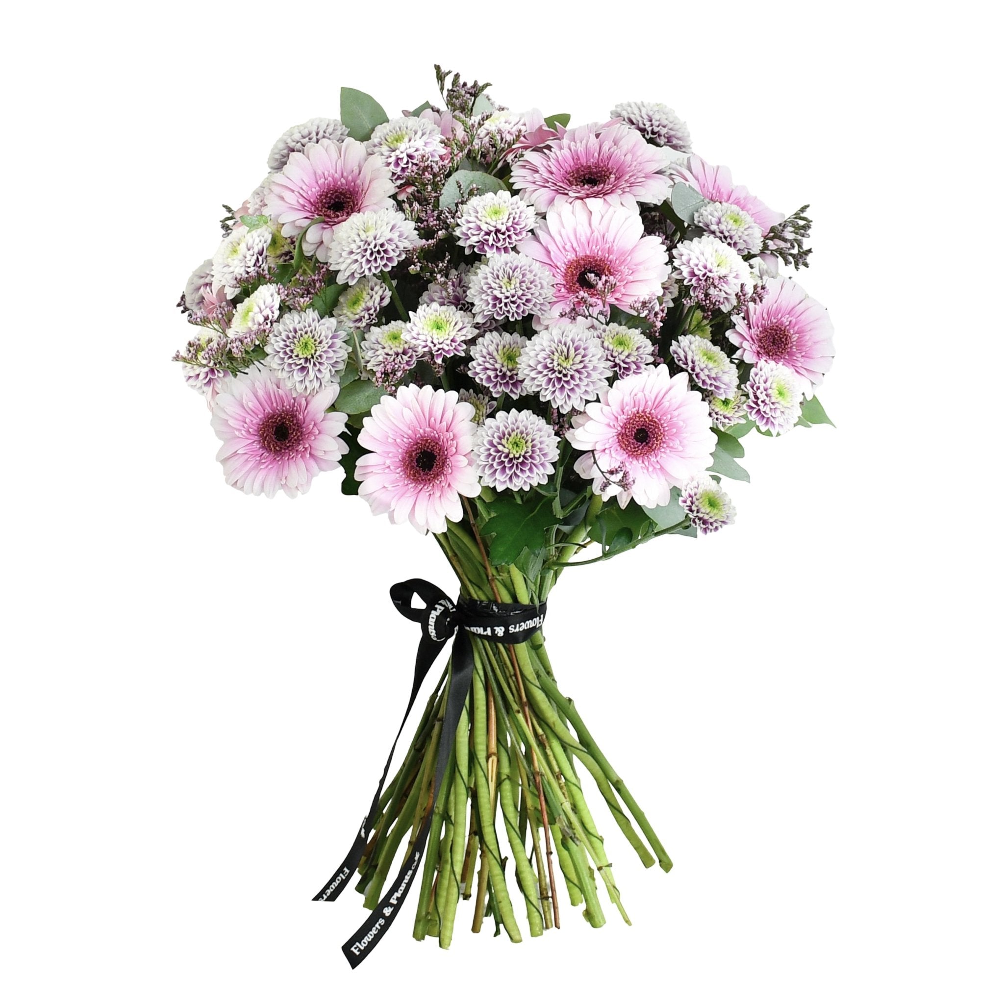 Blossom Embrace - Flowers &amp; Plants Co