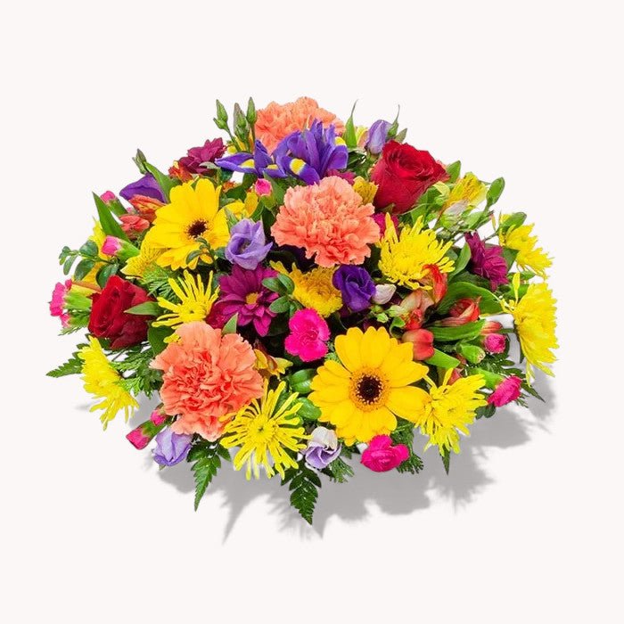 Bright &amp; Vibrant Posy - Flowers &amp; Plants Co
