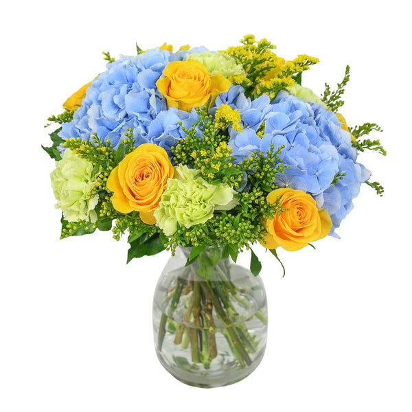 Coastal Blues - Flowers & Plants Co