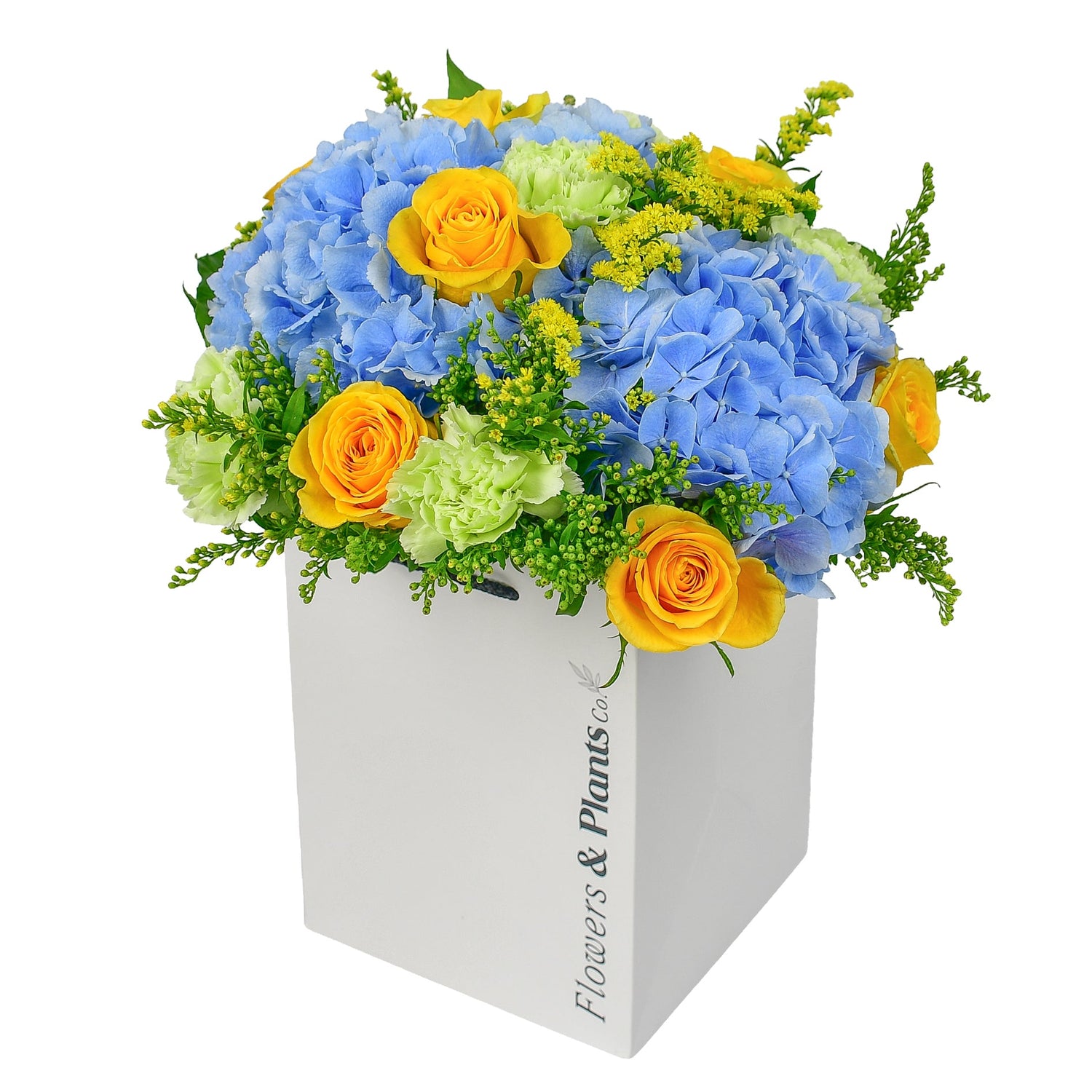Coastal Blues - Flowers &amp; Plants Co