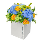 Coastal Blues - Flowers & Plants Co