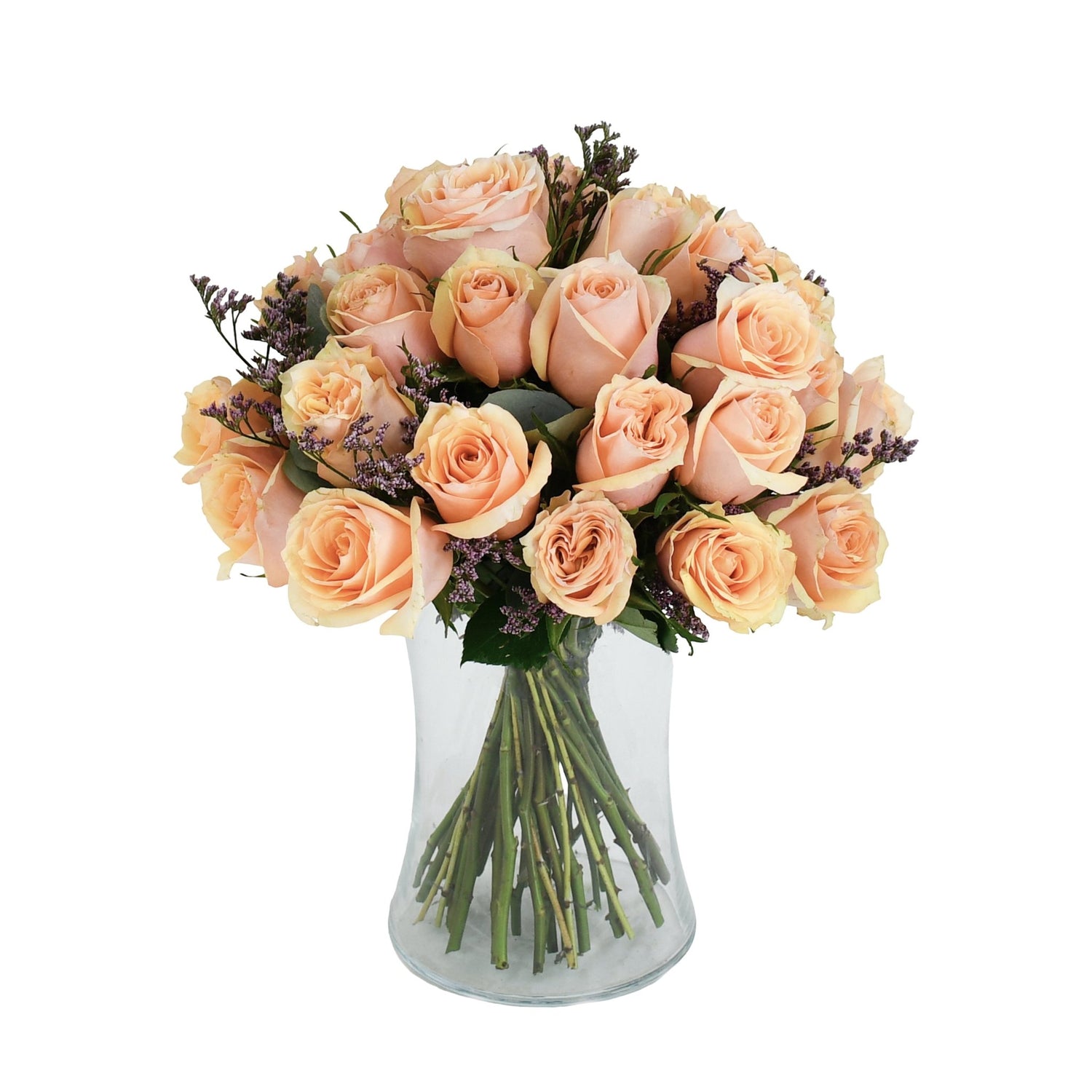 Crème Brûlée - Flowers &amp; Plants Co