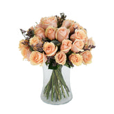 Crème Brûlée - Flowers & Plants Co
