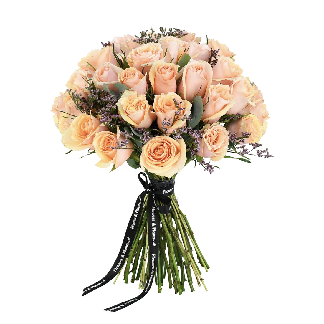 Crème Brûlée - Flowers &amp; Plants Co