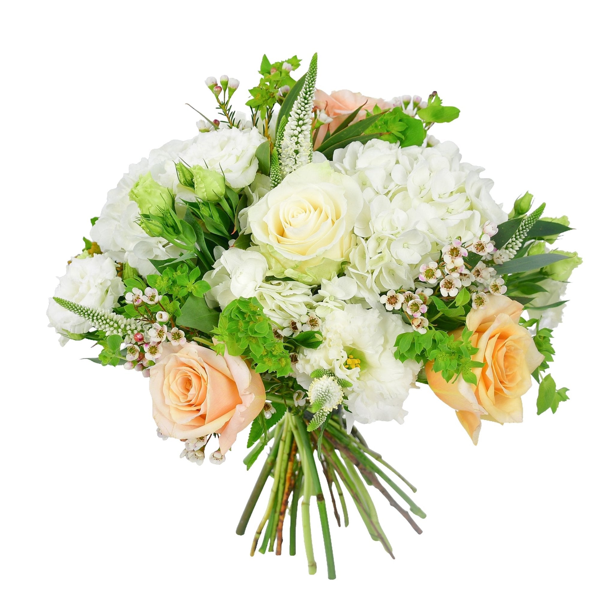 Daisy Chain - Flowers &amp; Plants Co