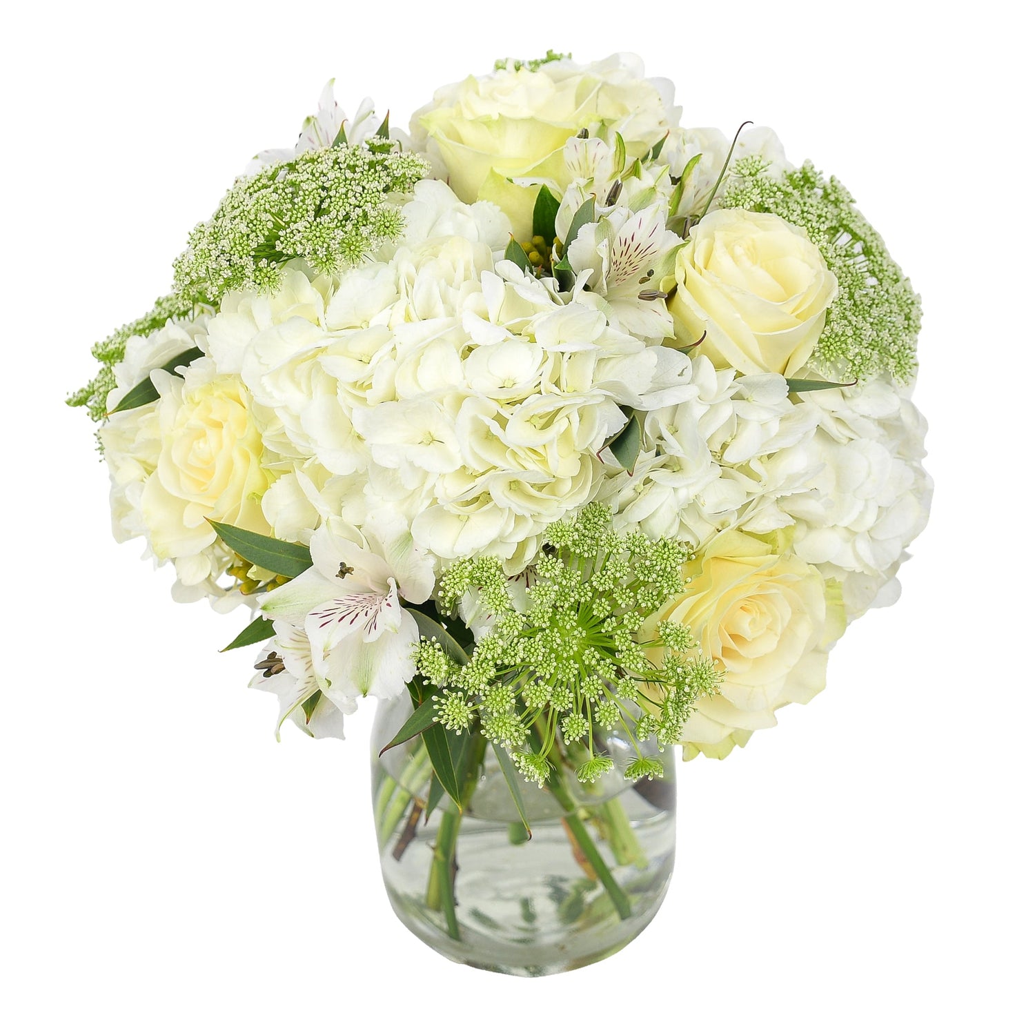 Déjà Vu - Flowers &amp; Plants Co
