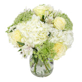 Déjà Vu - Flowers & Plants Co