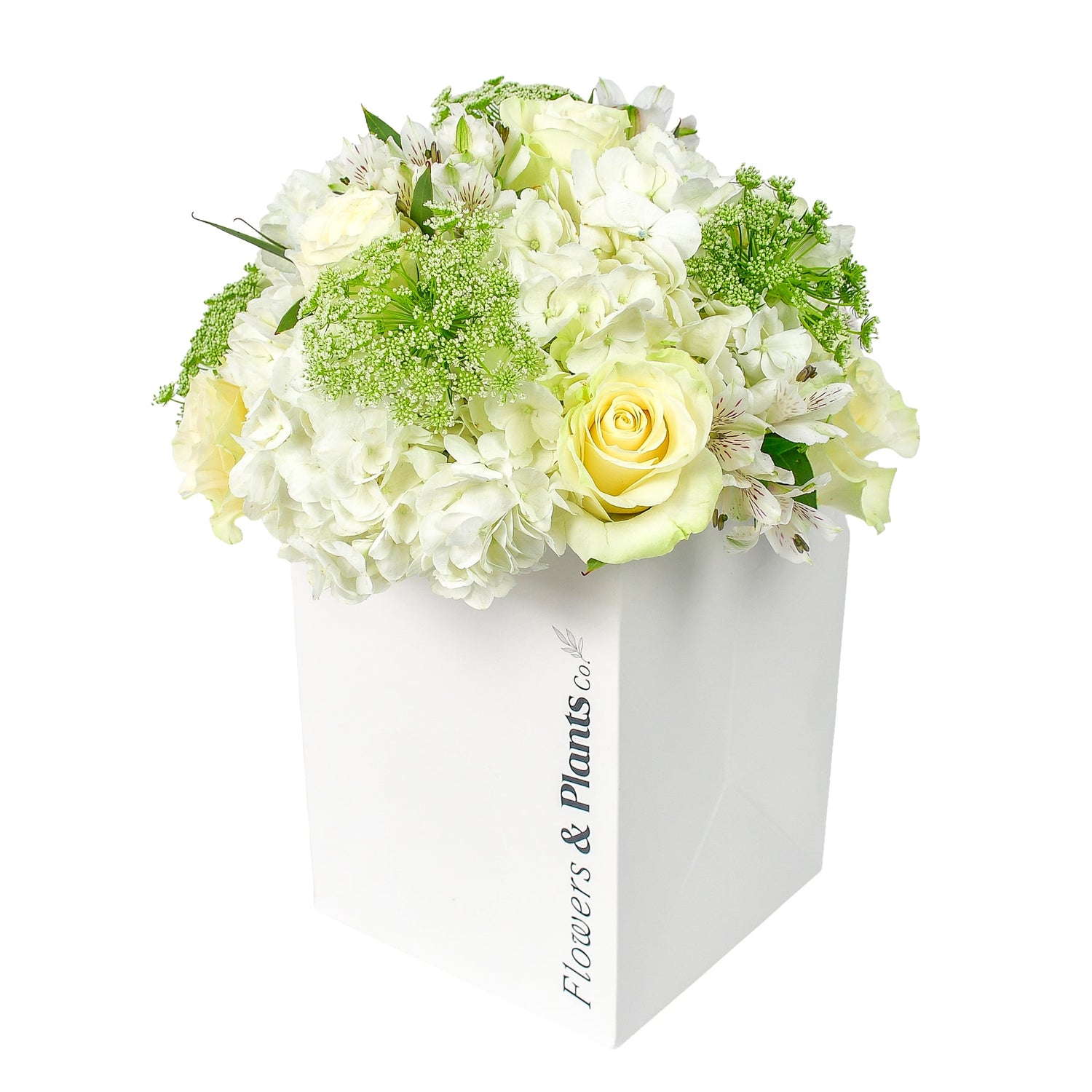 Déjà Vu - Flowers &amp; Plants Co