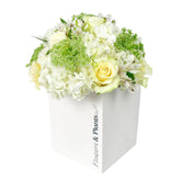 Déjà Vu - Flowers & Plants Co
