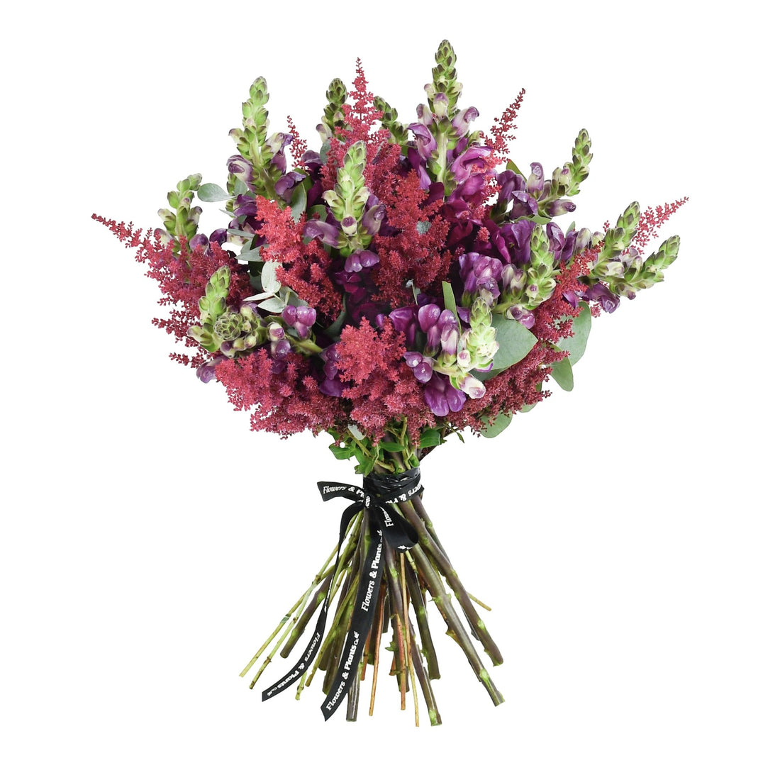 Flare - Flowers &amp; Plants Co