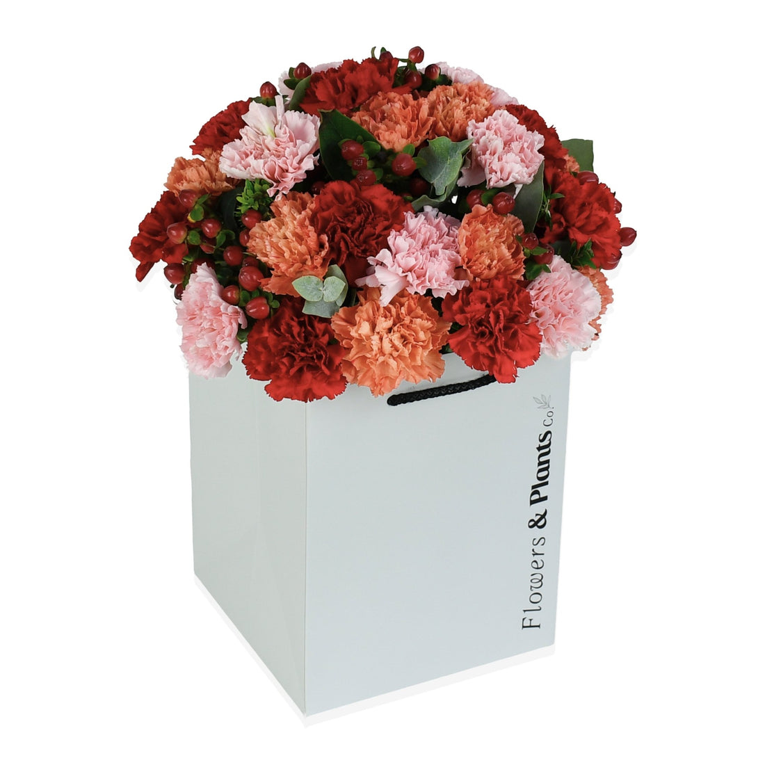 Flower of Zeus - Flowers &amp; Plants Co