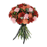 Flower of Zeus - Flowers & Plants Co