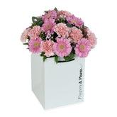 Go Pink - Flowers & Plants Co