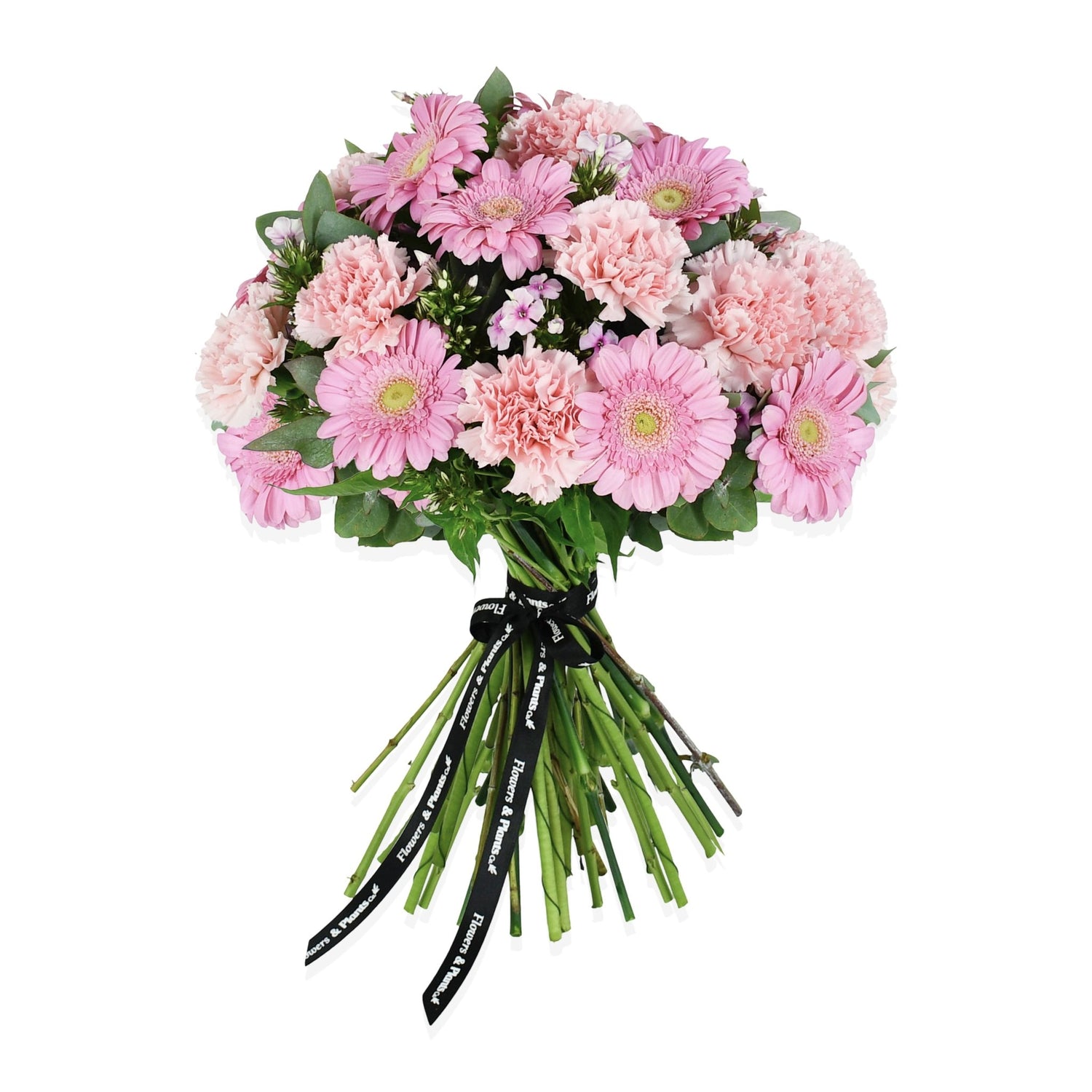 Go Pink - Flowers &amp; Plants Co