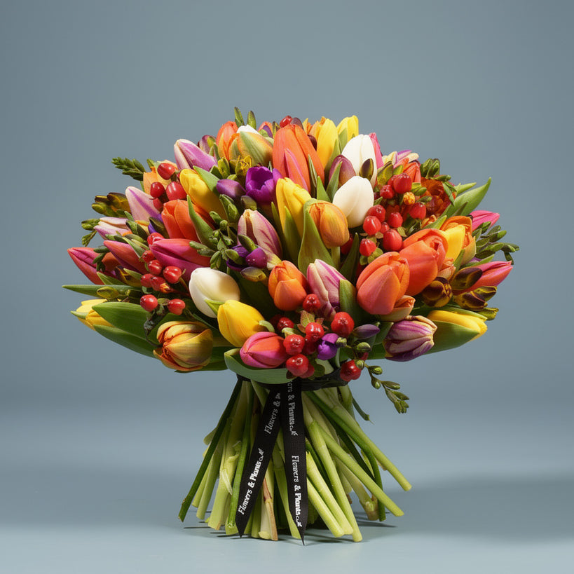 Mixed Tulips