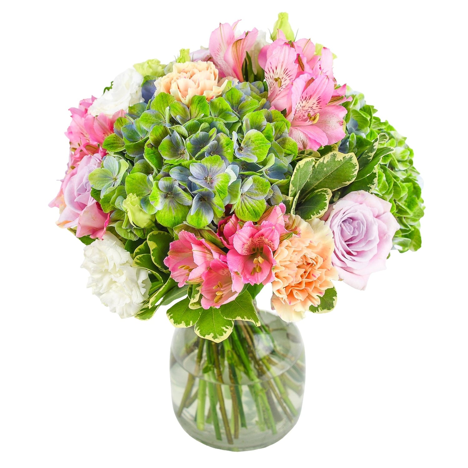 Into the Sun - Flowers &amp; Plants Co