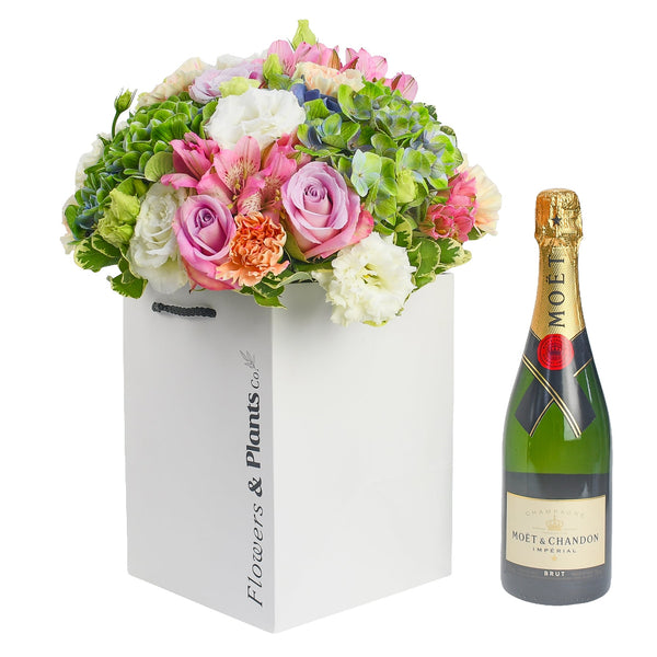 Into the Sun - Flowers & Plants Co