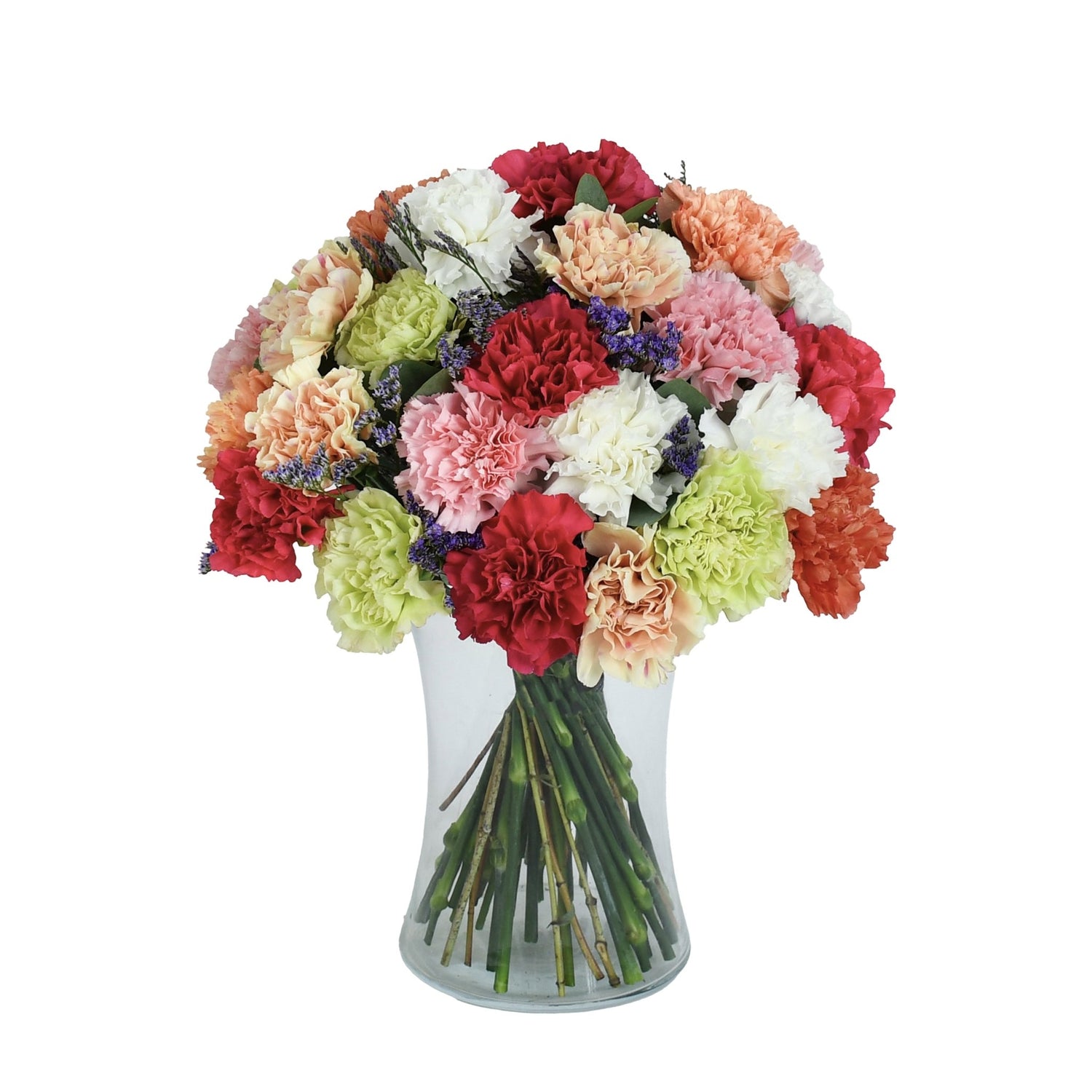 Joy - Flowers &amp; Plants Co
