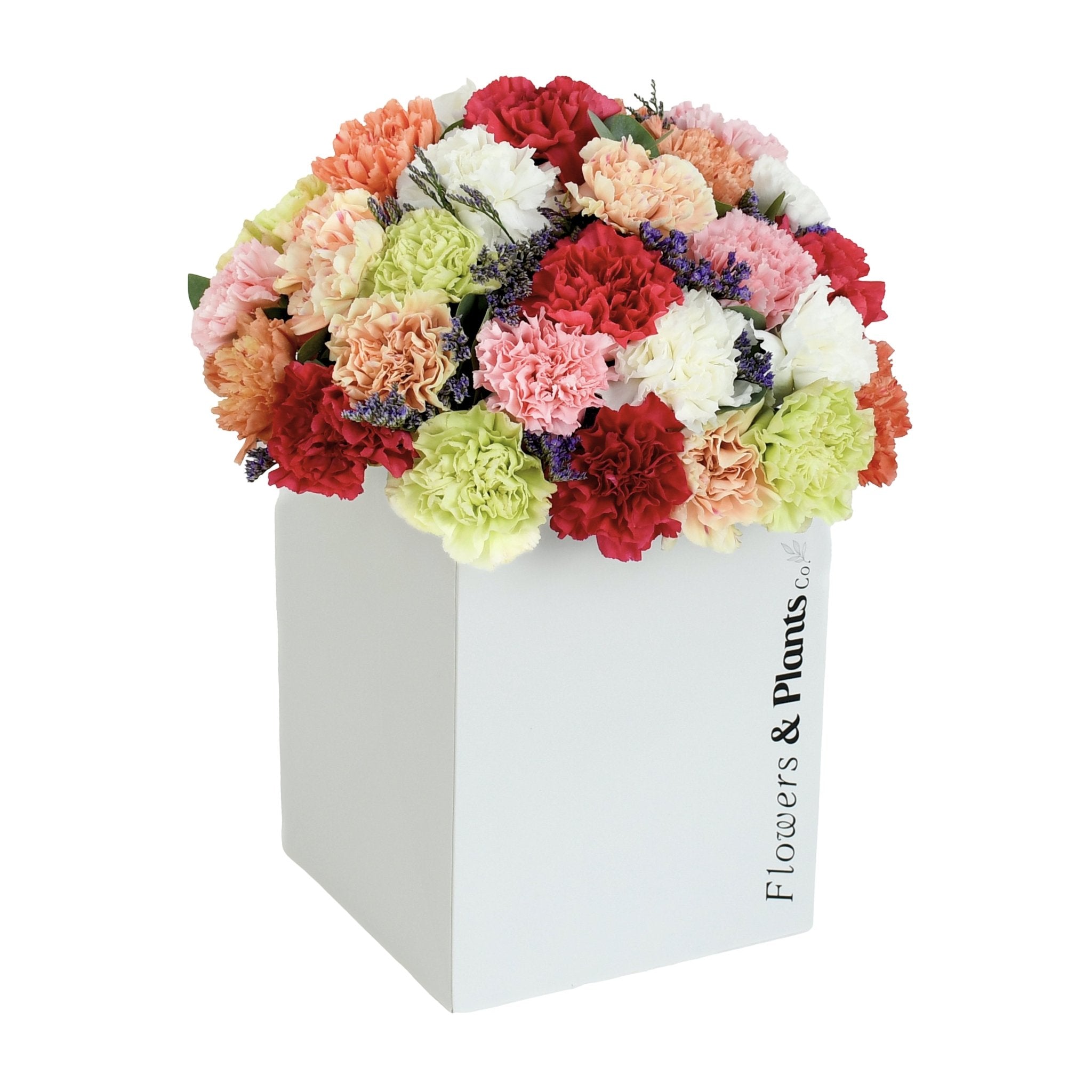 Joy - Flowers &amp; Plants Co