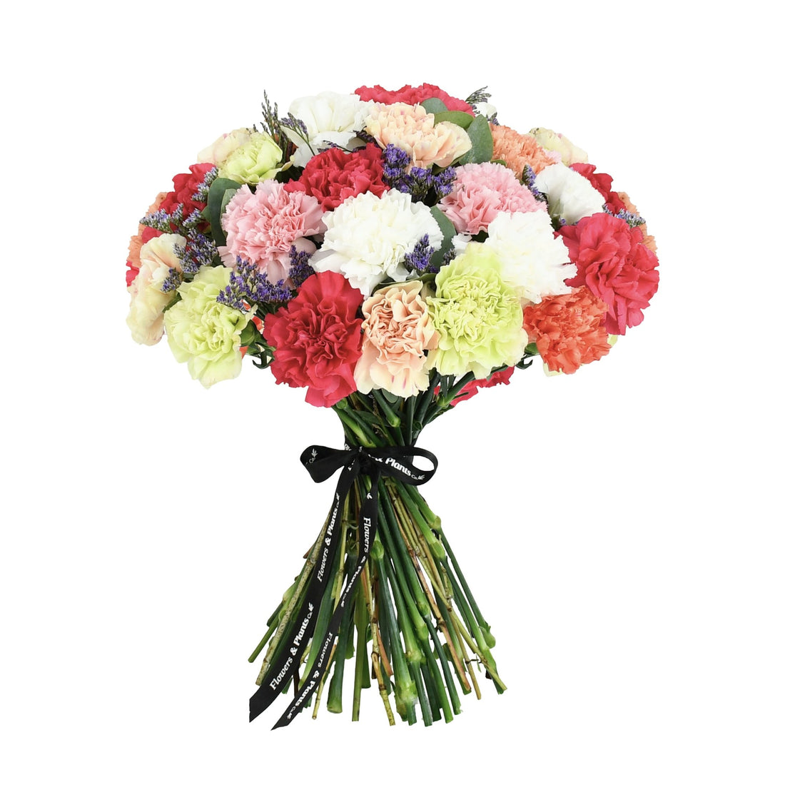 Joy - Flowers &amp; Plants Co