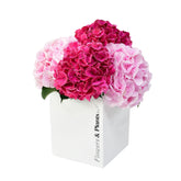 Just for You - Flowers & Plants Co