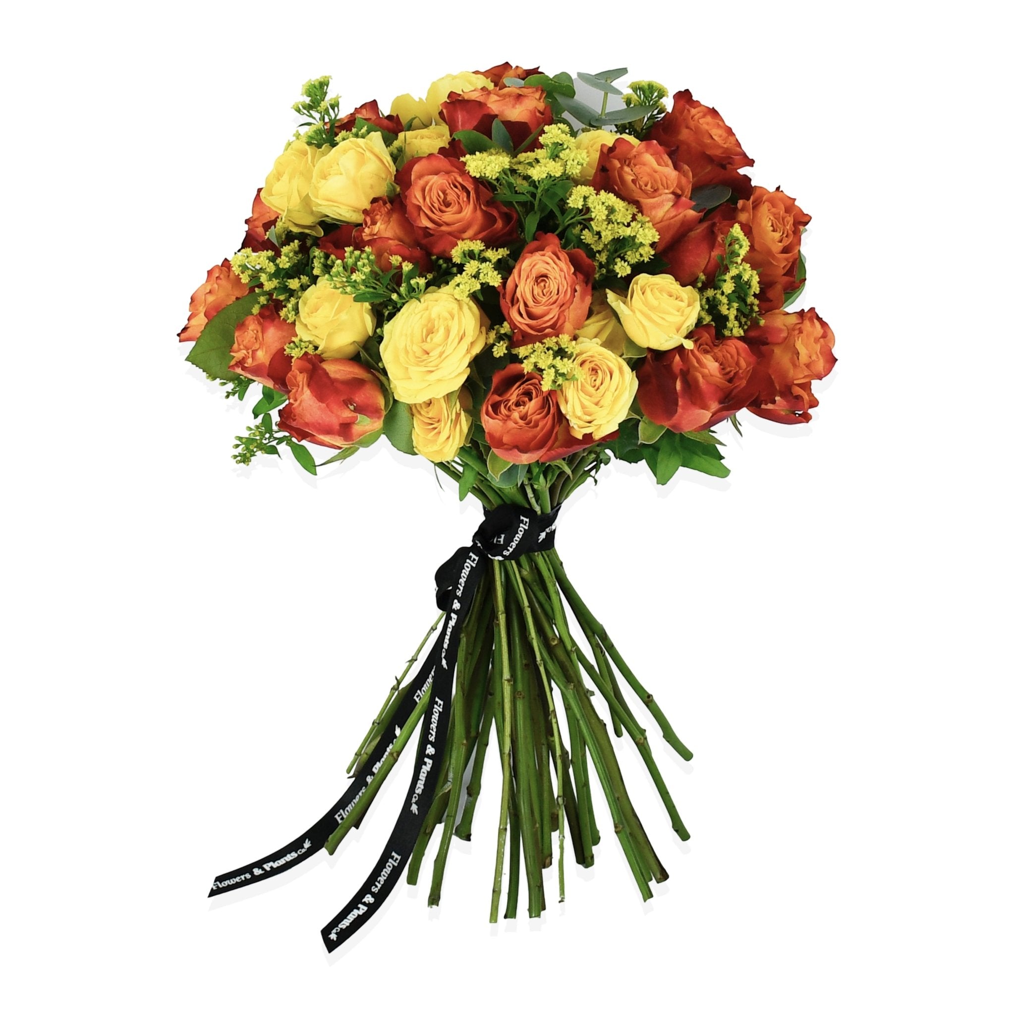 Mai Tai - Flowers &amp; Plants Co