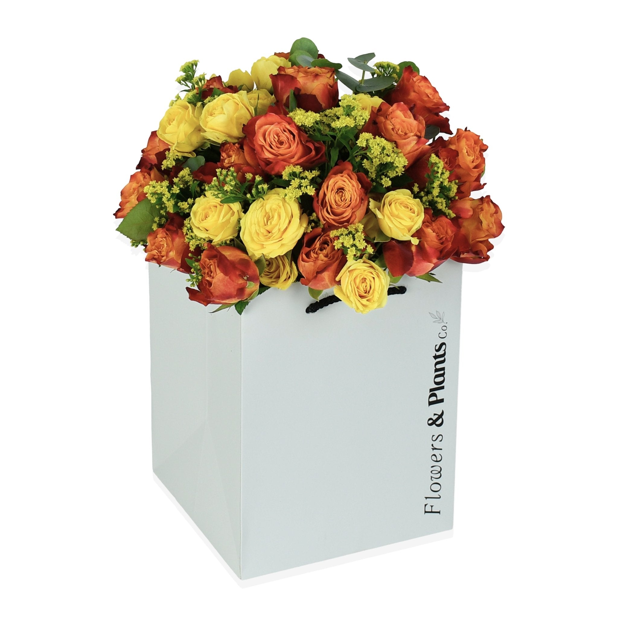 Mai Tai - Flowers &amp; Plants Co
