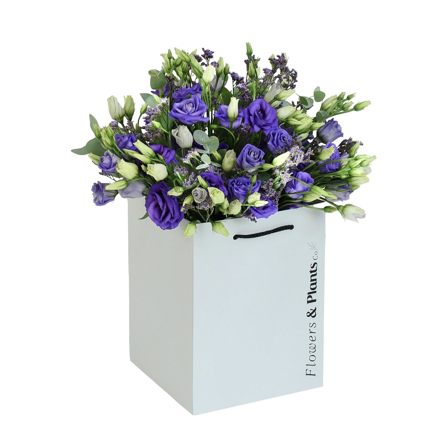 Miss Lisi - Flowers &amp; Plants Co