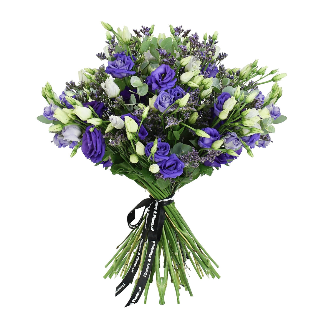 Miss Lisi - Flowers &amp; Plants Co