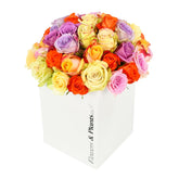 Mixed Roses - Flowers & Plants Co