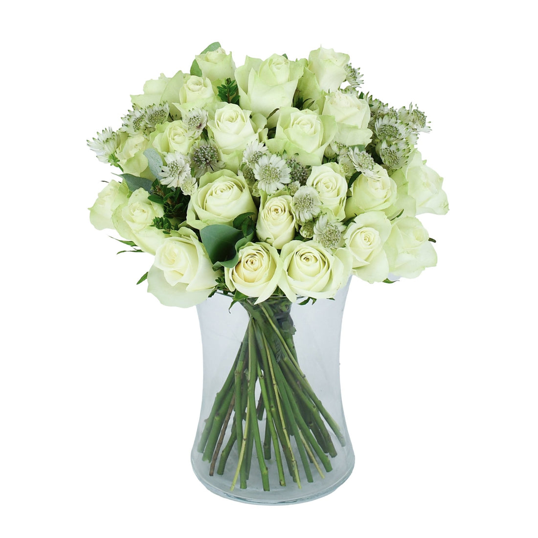 Moonlight - Flowers &amp; Plants Co