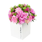 New Glow - Flowers & Plants Co