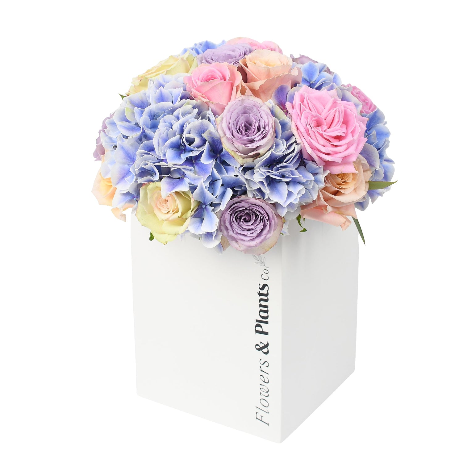 Parisian Blue - Flowers &amp; Plants Co