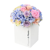 Parisian Blue - Flowers & Plants Co