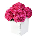 Passion For Pink - Flowers & Plants Co