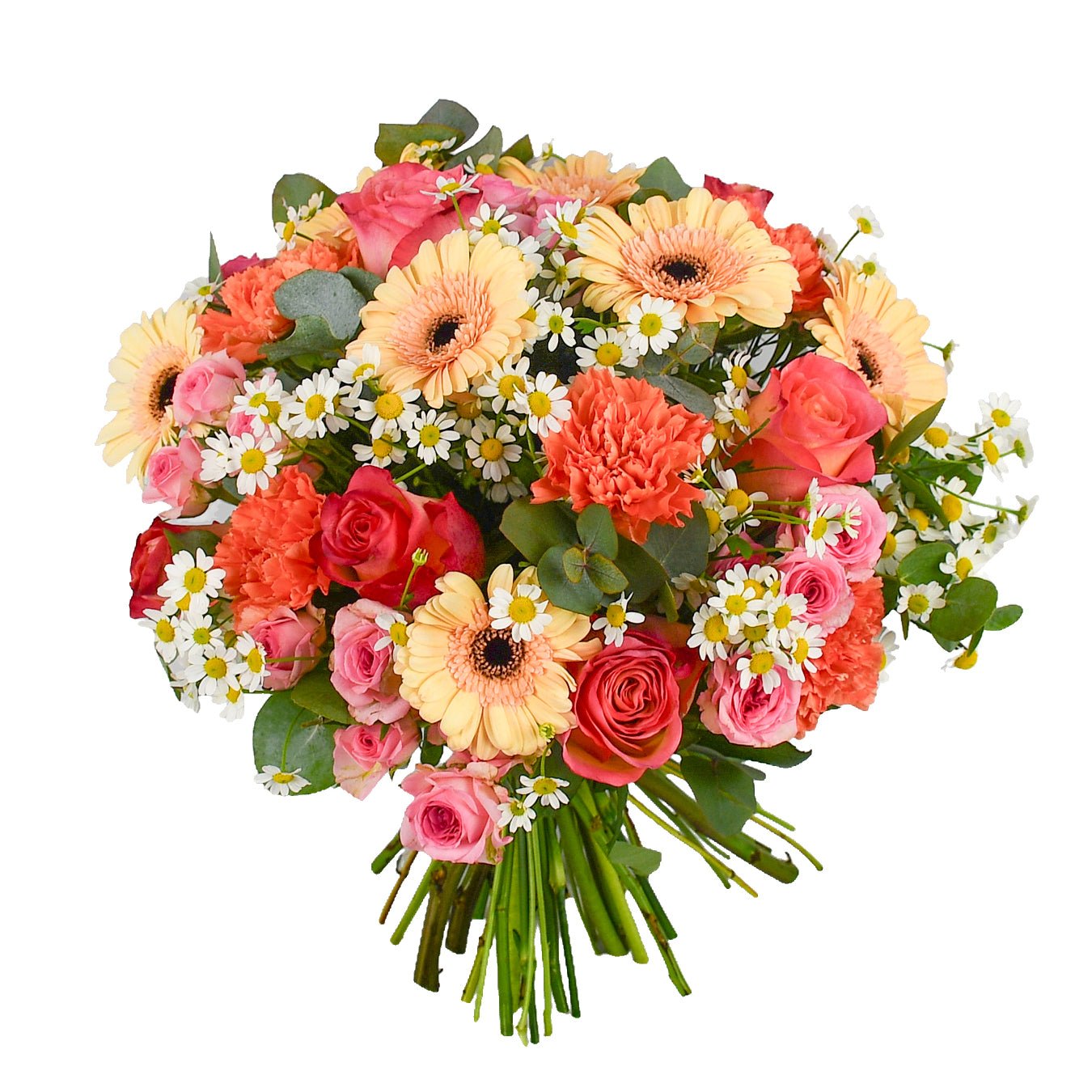 Peachy Pop - Flowers &amp; Plants Co